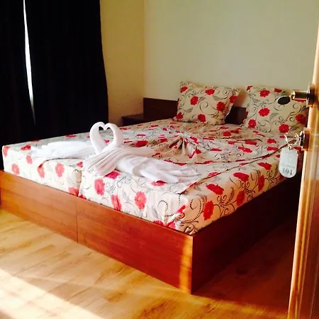 Guest house Natali 2*