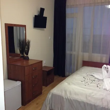 Guest house Natali 2*
