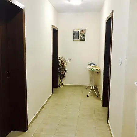 Guest house Natali 2*