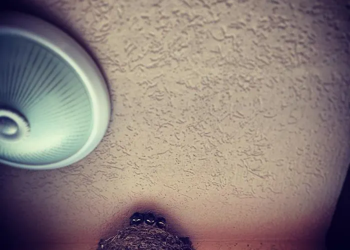 Πανσιόν Natali